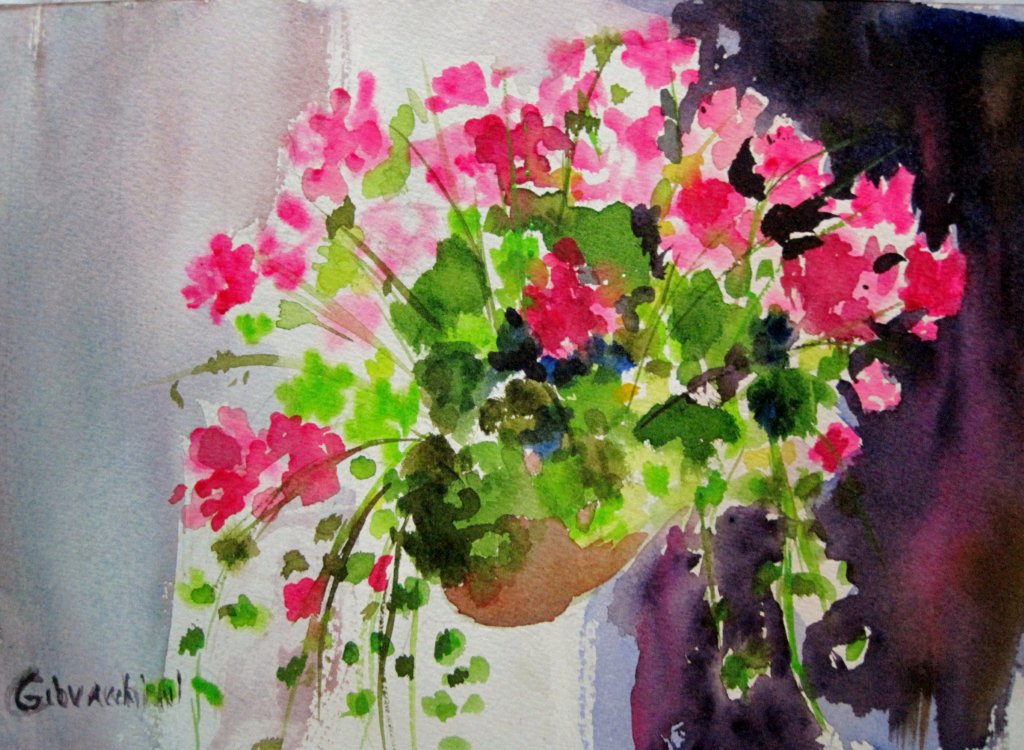 Geraniums