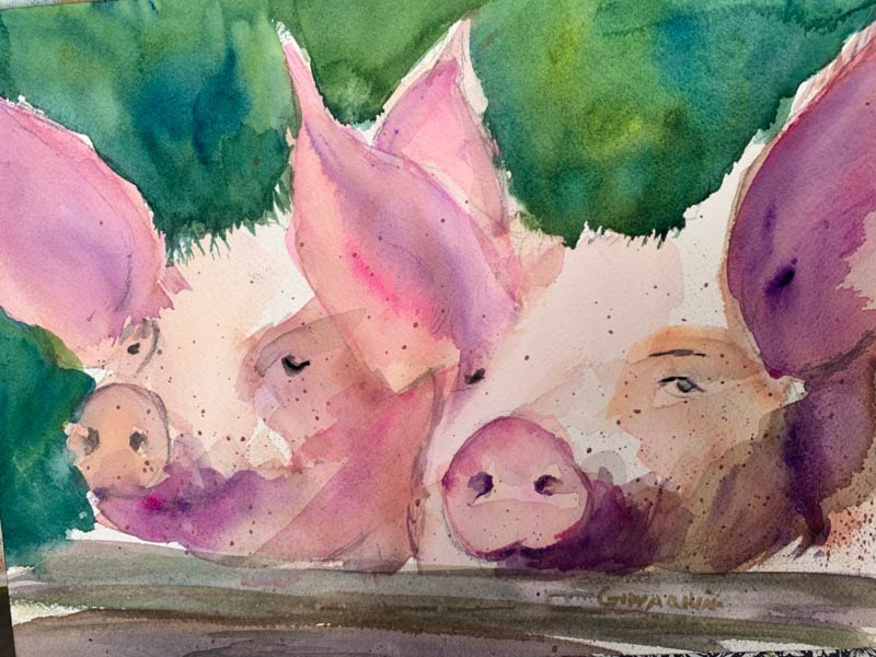 Hog Heaven