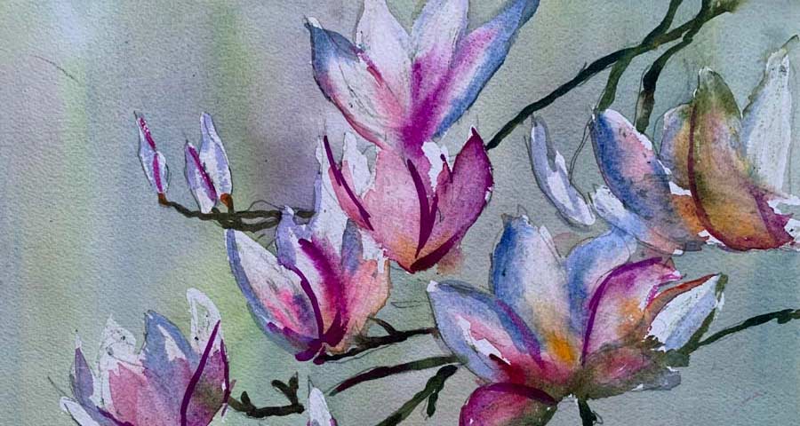 Blooms